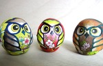 DSC07310.JPG